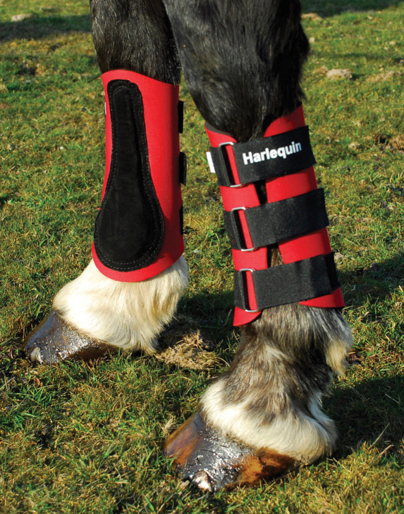 Harlequin Neoprene Brushing Boots - Pony Cob Full