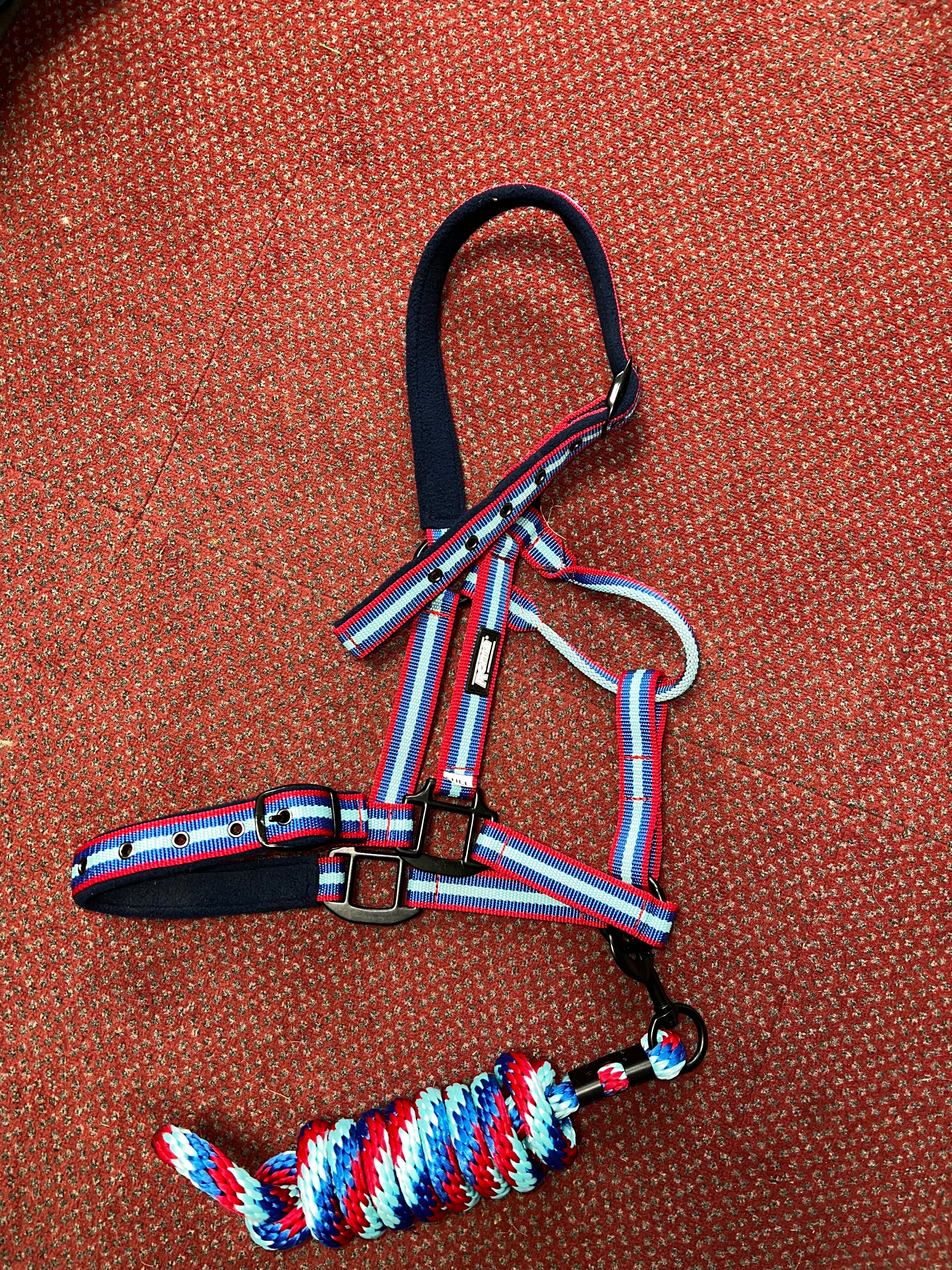 Roma Stripe Full Headcollar & Leadrope Set