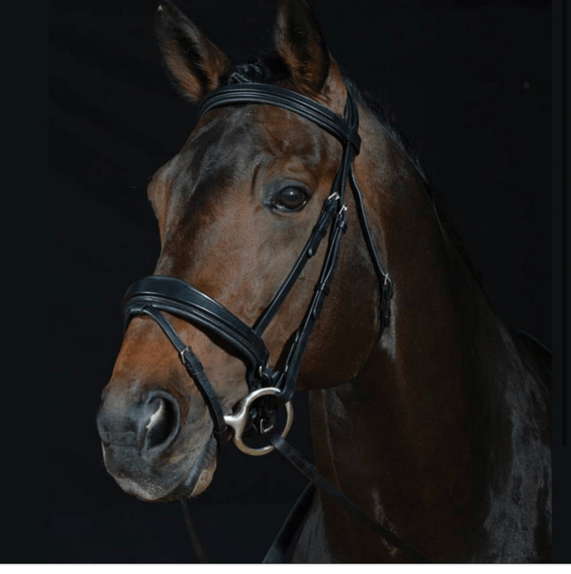 Collegiate Brown Comfort Crank Flash Bridle & Rubber Reins - Full - Rrp £125.99