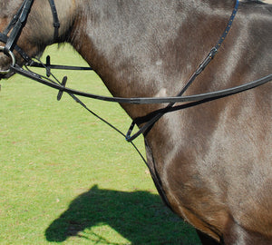 Windsor Leather Standing Martingale